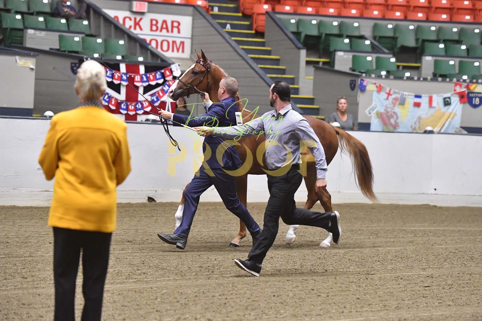 Wed. Morning & Noon 900am Classes 0141 Horse Show Proofs 2023