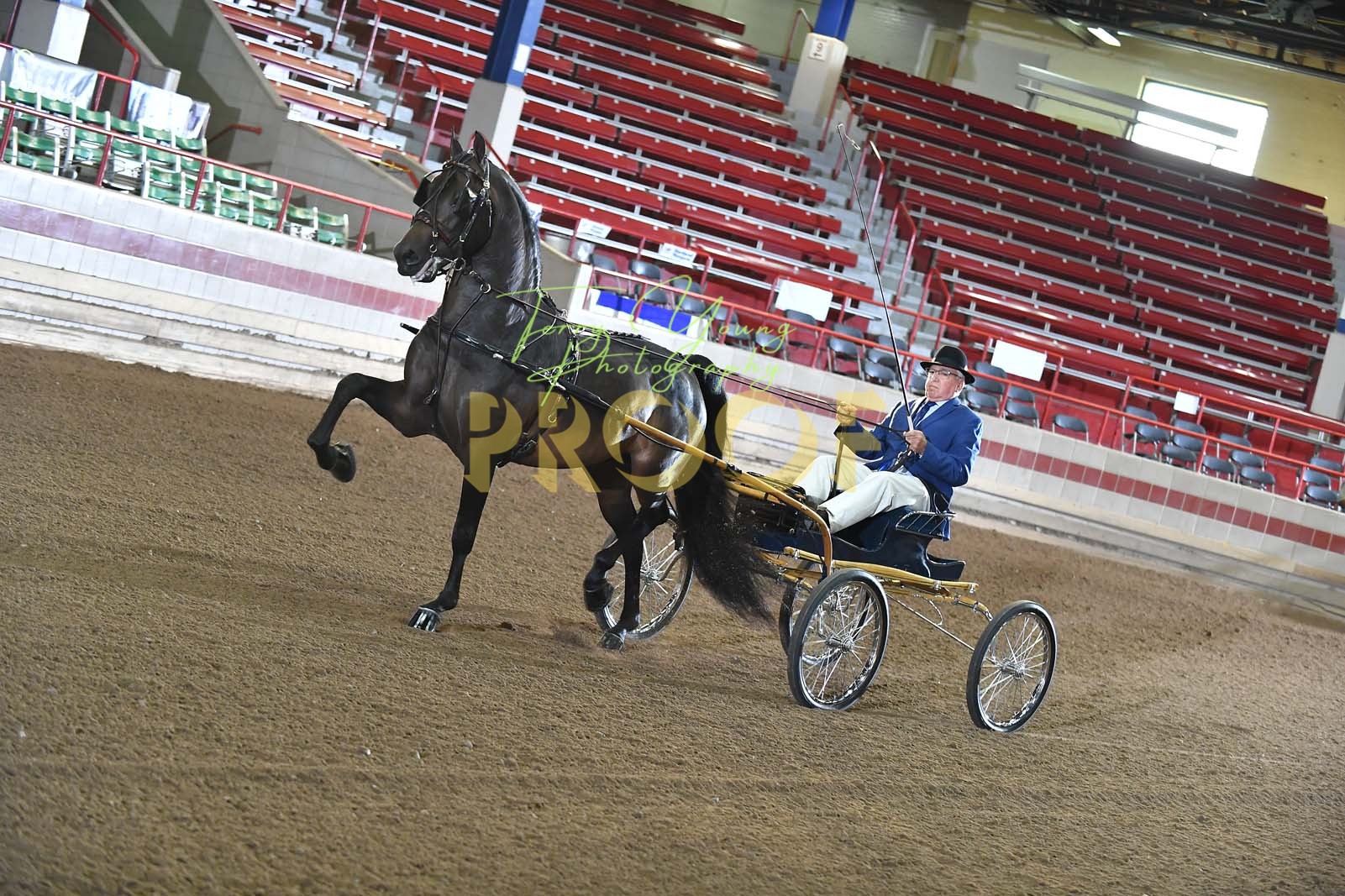 Wed. Evening 630pm Classes 4256 Horse Show Proofs 2023 R.) NY. Regional Show