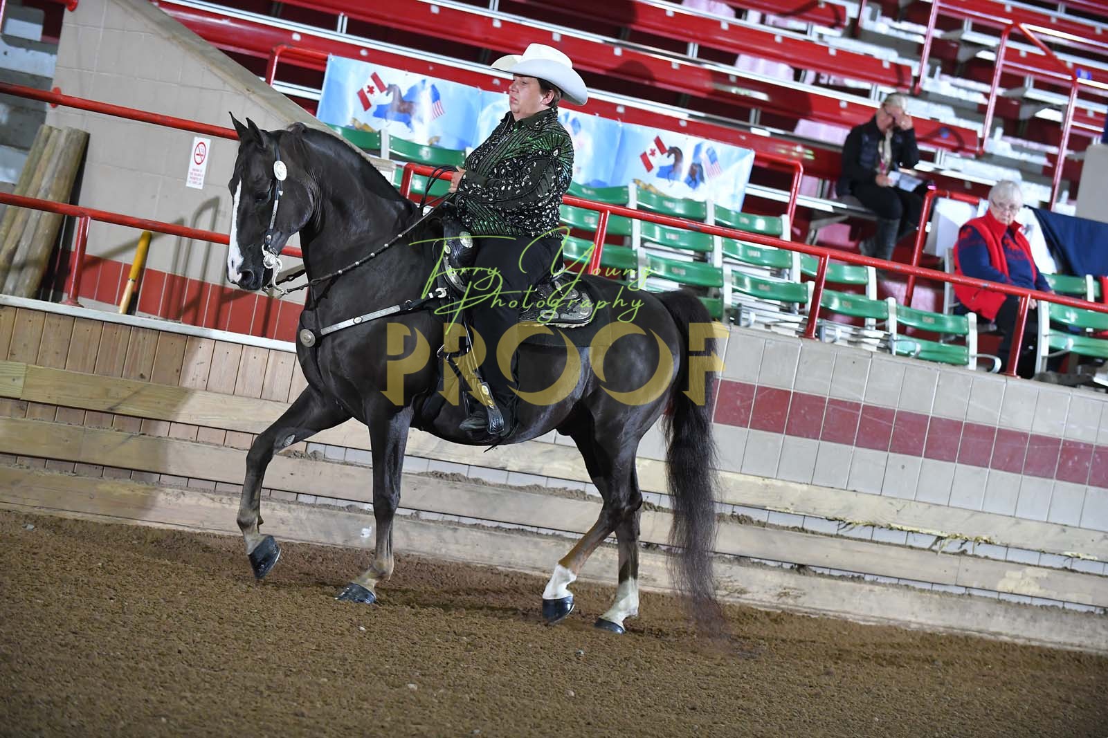 Thur. Evening 630pm Classes 89103 Horse Show Proofs 2023 R.) NY. Regional Show