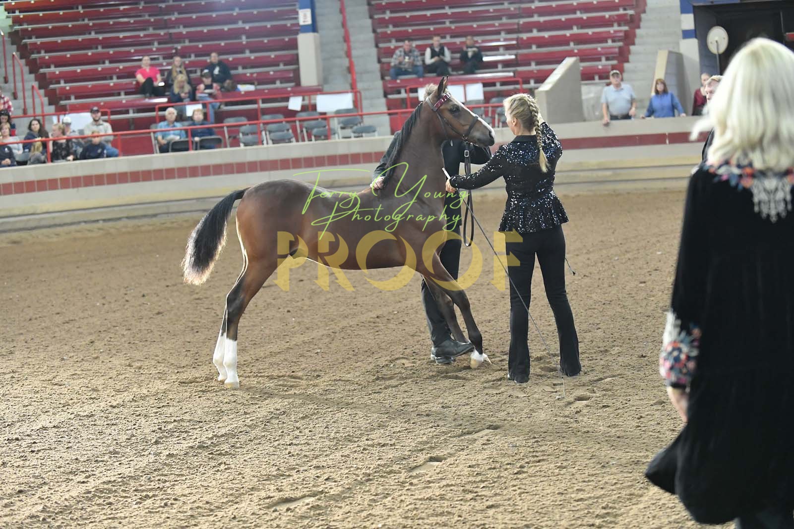 Fri. Evening 600pm Classes 136143 Horse Show Proofs 2023 R.) NY. Regional