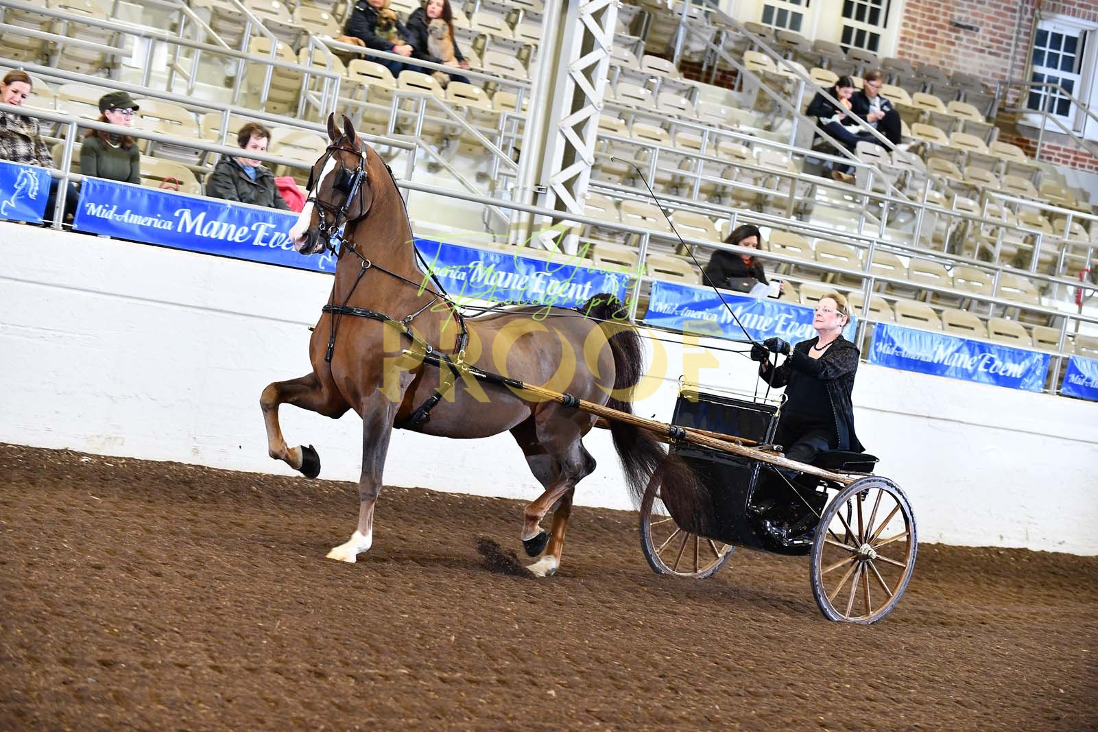 Sat. Evening Cont. 730pm Classes 102119 Horse Show Proofs