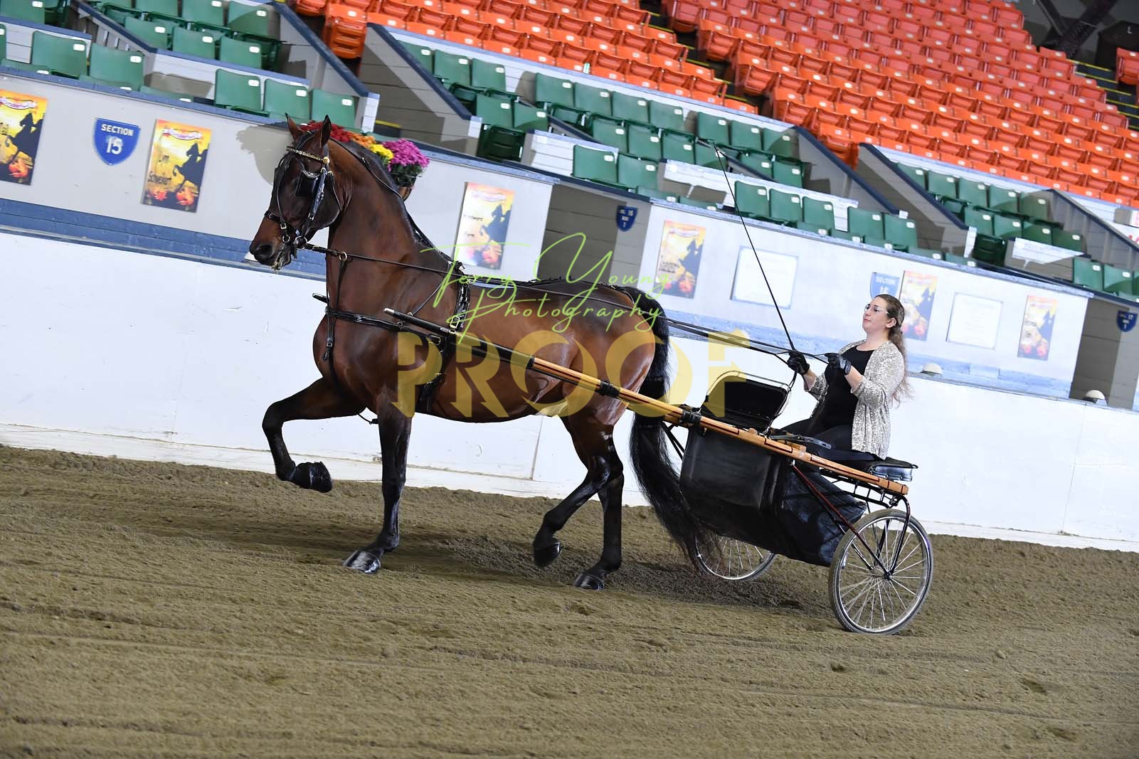 Fri. Morn 900am Classes 6687 Horse Show Proofs 2023 X