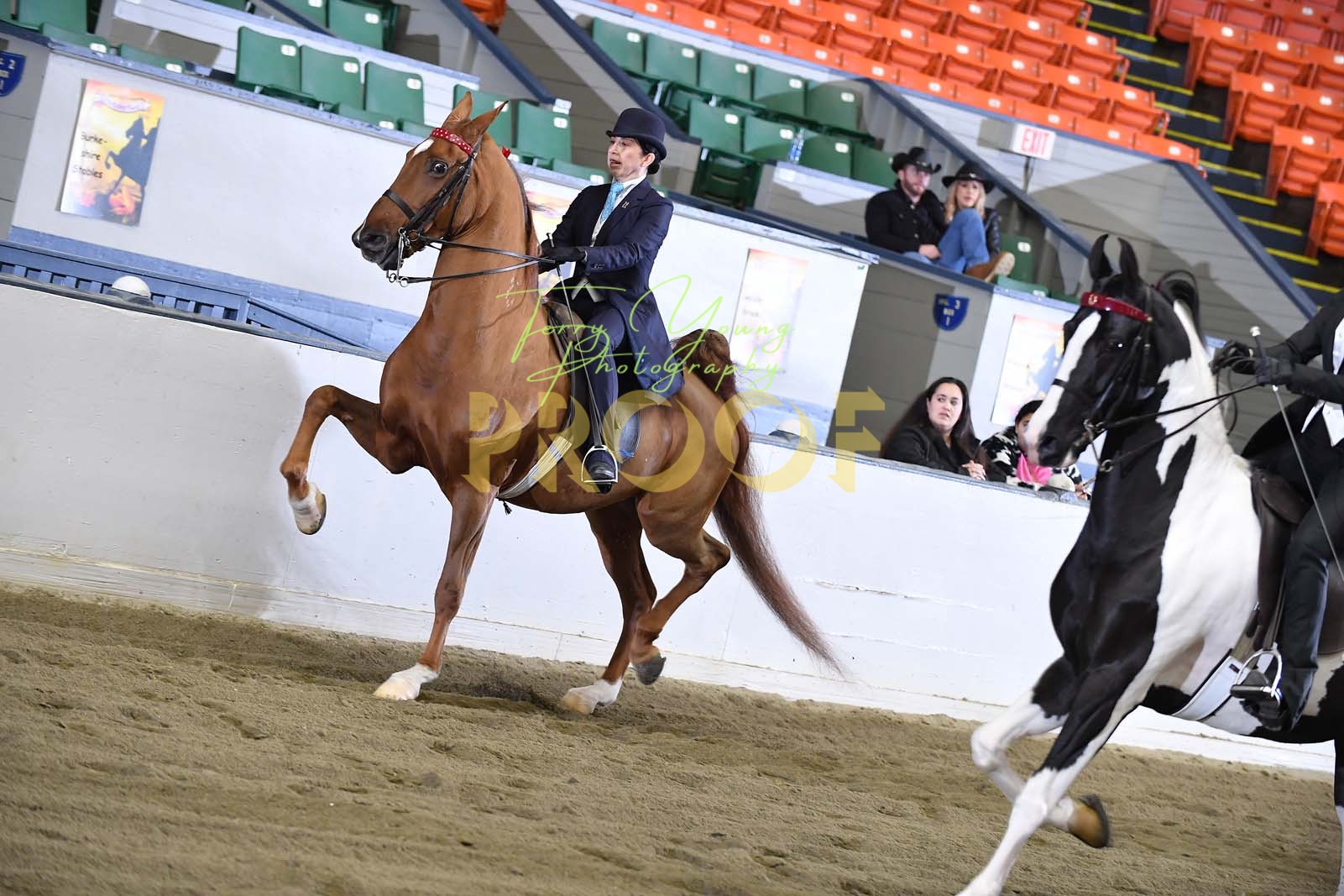 Sat. Evening 700pm Classes 133149 Horse Show Proofs 2023 X