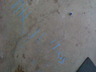 Img_1738_thumbnail