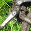 Dscf0451_square