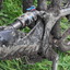 Dscf0456_square