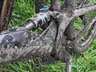 Dscf0456_thumbnail