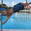 Flag_pole_square