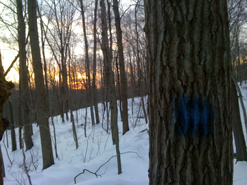 Screen_shot_2009-12-22_at_5