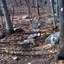 Photo_3_square
