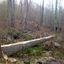 Photo_5_square