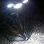 Screen_shot_2010-06-13_at_7