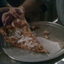 Screen_shot_2010-06-13_at_7