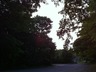 Img_0408_thumbnail