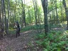 Img_0488_thumbnail