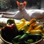 Dscf2646_square