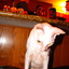 Dscf2926_square