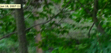 Screen_shot_2010-09-06_at_9