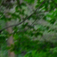 Screen_shot_2010-09-06_at_9