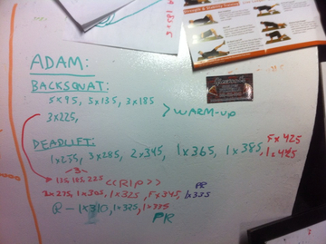 Adam--asset_upload1622650073_entry