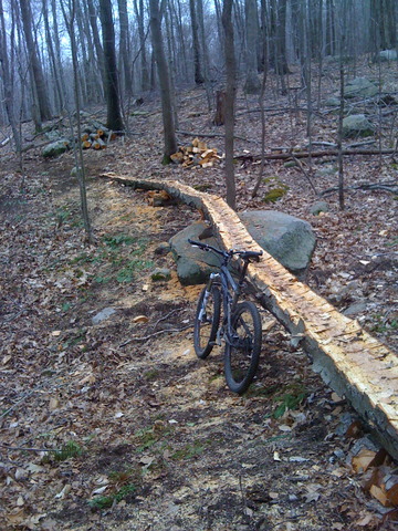 This Skinny Feels A Lot Taller When You're On It Img_0340_entry