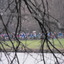Dscf0002_square