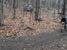 Dscf0018_thumbnail