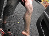 Dscf0039_thumbnail