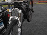 Dscf0042_thumbnail