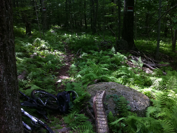 Screen_shot_2011-08-20_at_6