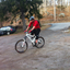 Adam--asset_upload16531729_square