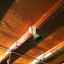 Adam--asset_upload16807_square