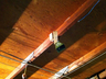 Adam--asset_upload16807_thumbnail
