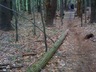Img_0438_thumbnail