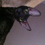 Adam--asset_upload470211272_square