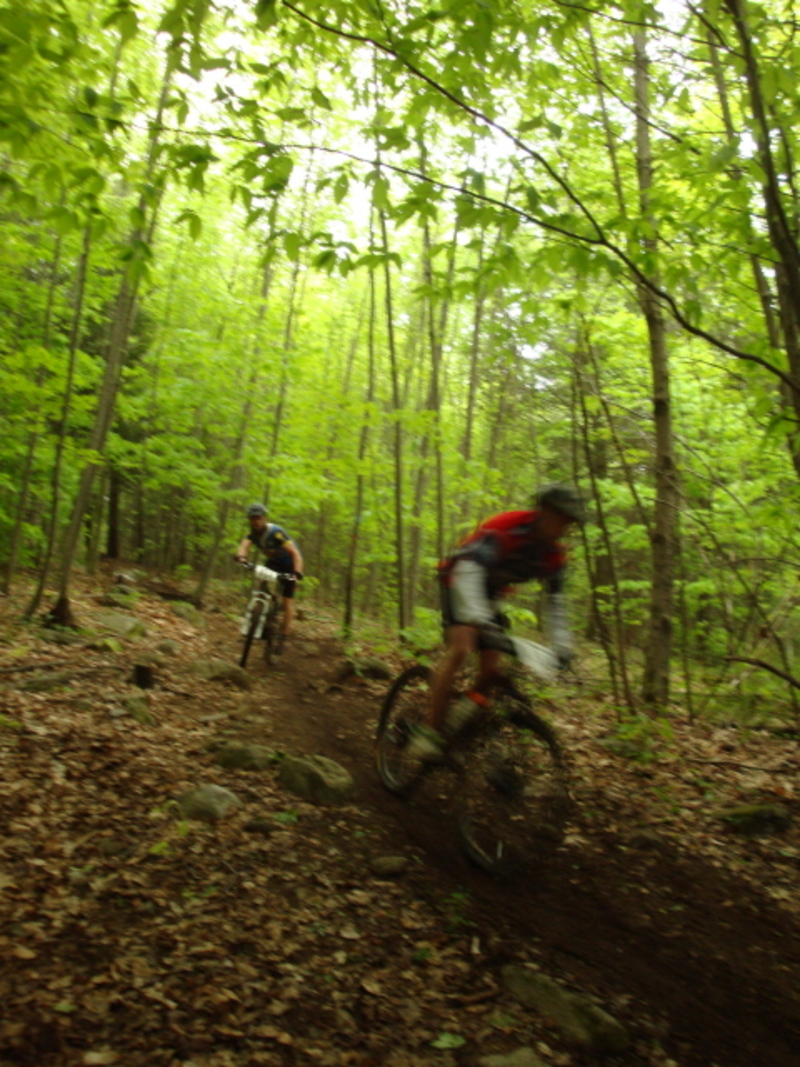 Bike_race_003_large