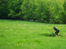 Vermont_006_thumbnail