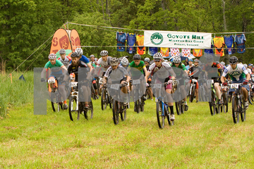 The Start Picture_17_entry