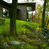 8381d6d2a4ad_thumbnail
