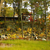 D656dca49fb8_thumbnail