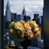 Hirsch-view_detail_thumbnail
