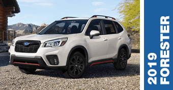 Compare New 2019 Subaru Forester Versus Competing Models Compare New 2019 Subaru Forester Versus Competing Models