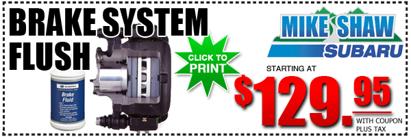 Subaru Brake System Flush Service Discount Coupon
