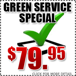 Green Service Special Coupon at Subaru of San Bernardino in California, Los Angeles, Ontario, Fontana, Riverside