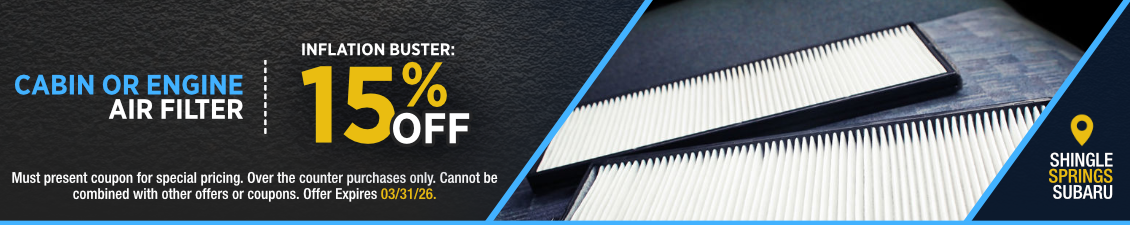 Cabin or Engine Air Filter Special Offer - 15% Off