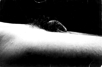 Baltrop_navynudes01