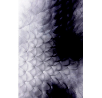 Gil_8