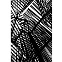 Gil_7