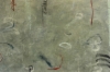 Untitled 1