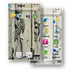скачать тему для Nokia 5800 - Perspolis Iran